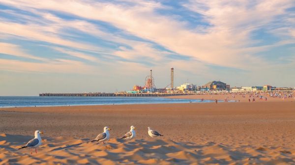Top 10 destinations de rêve autour de l'étoile de mer à Wimereux