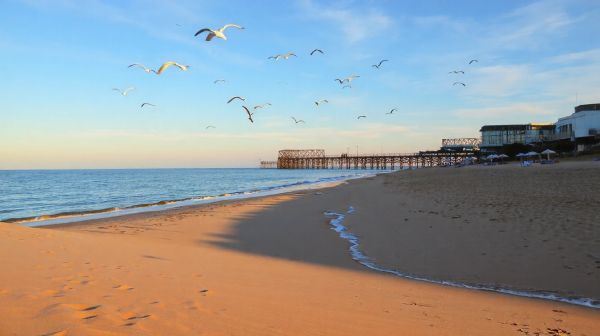 Top 10 destinations de rêve autour de l'étoile de mer à Wimereux